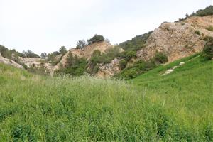 Restauren ambientalment una antiga pedrera ubicada dins l’espai natural del Montmell - Marmellar. ACN