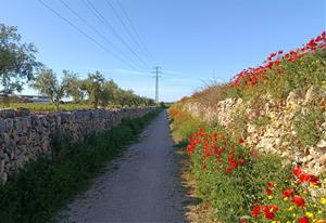 Ruta Històrica de Vendrell. Eix