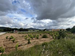 Sant Cugat Sesgarrigues registra un solar per impulsar 20 habitatges per a joves dins la Reserva Pública de Solars. Ajt Sant Cugat Sesgarrigu