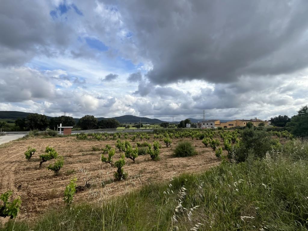 Sant Cugat Sesgarrigues registra un solar per impulsar 20 habitatges per a joves dins la Reserva Pública de Solars. Ajt Sant Cugat Sesgarrigu