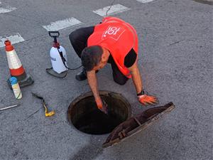 Sant Pere de Ribes intensifica les accions de control i prevenció de plagues amb l’arribada de l’estiu. Ajt Sant Pere de Ribes