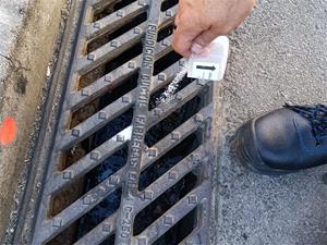 Sant Pere de Ribes intensifica les accions de control i prevenció de plagues amb l’arribada de l’estiu