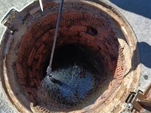 Sant Pere de Ribes intensifica les accions de control i prevenció de plagues amb l’arribada de l’estiu