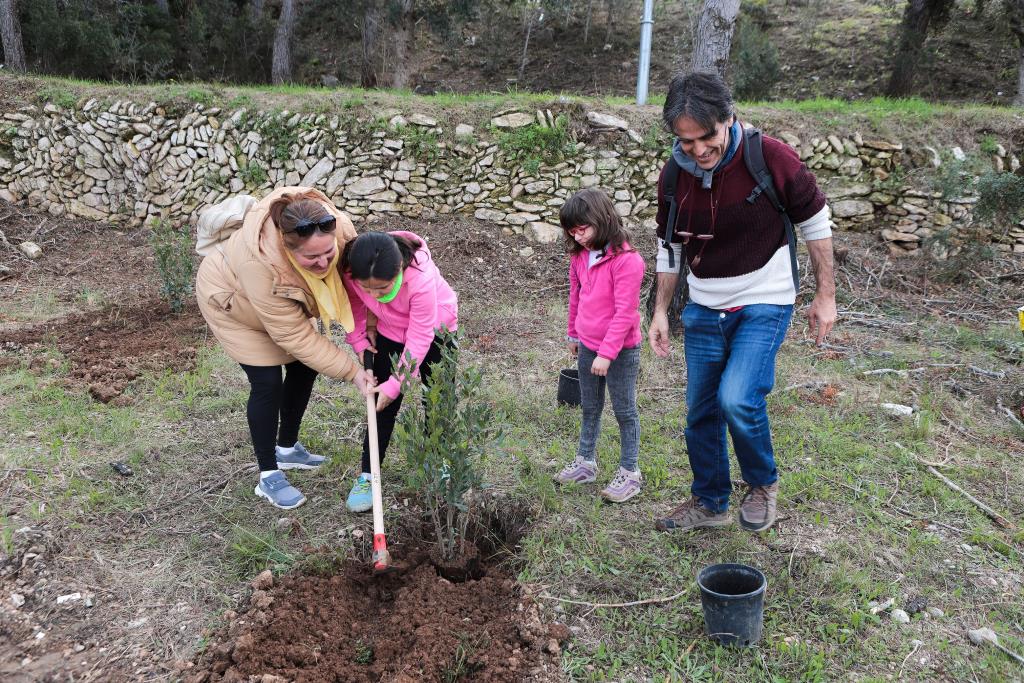 Sant Pere de Ribes planta 80 nous arbres en una jornada popular. Ajt Sant Pere de Ribes