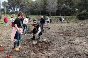 Sant Pere de Ribes planta 80 nous arbres en una jornada popular
