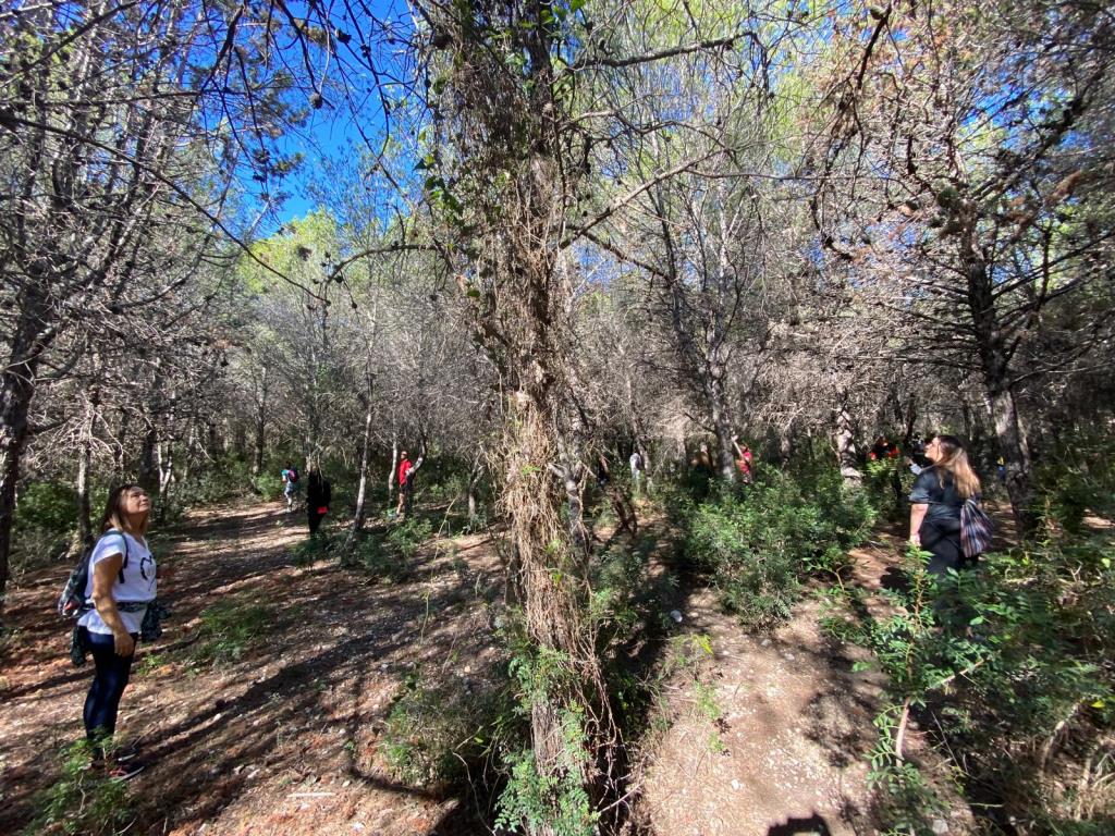 Sant Pere de Ribes reprèn al setembre les sessions gratuïtes de banys de bosc per fomentar salut i natura. Ajt Sant Pere de Ribes