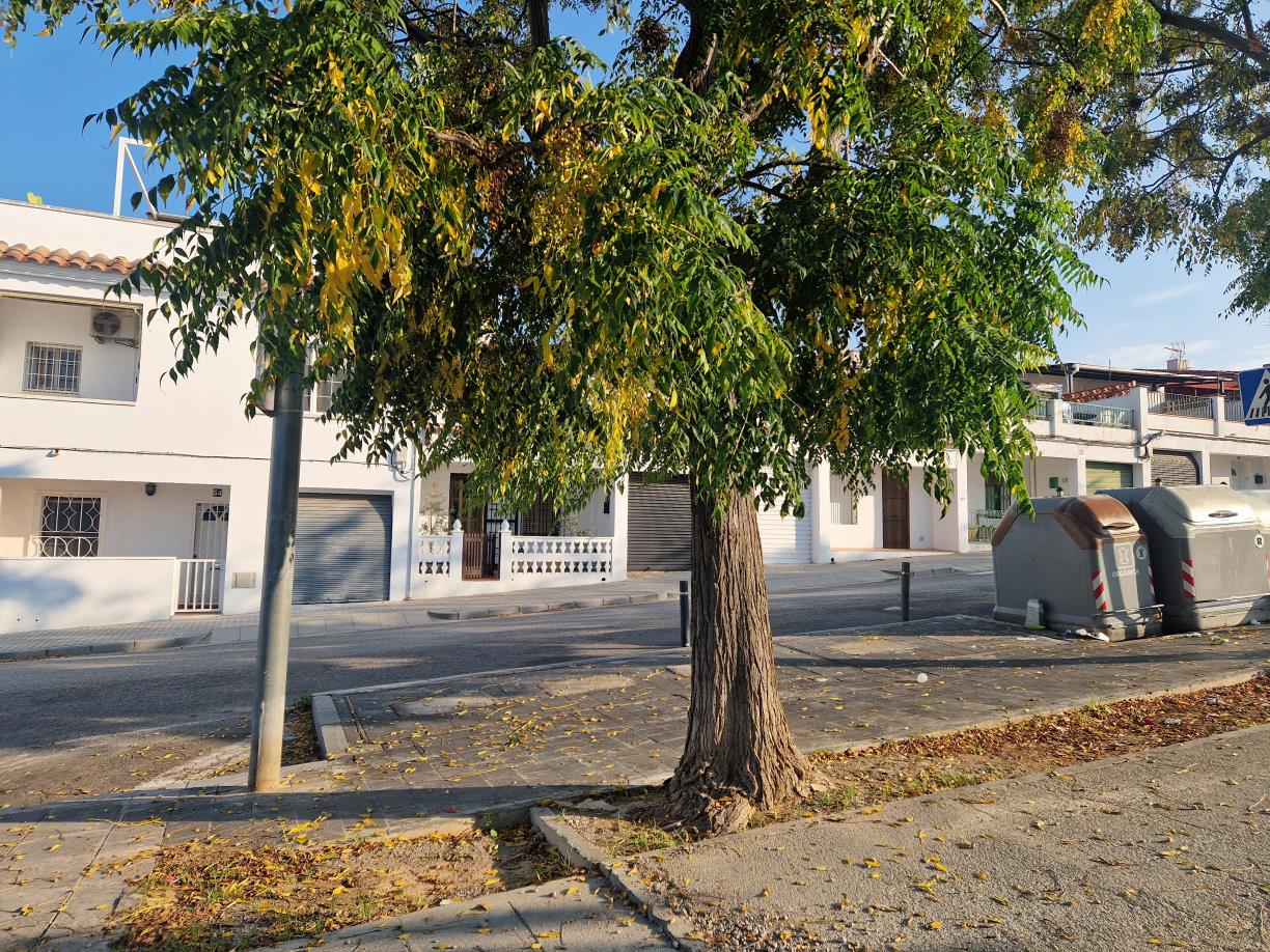 Sant Pere de Ribes sanciona tres nous abocaments il·legals al municipi. Ajt Sant Pere de Ribes