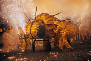 Sant Sadurní d’Anoia escalfa motors per a la Festa de la Fil·loxera 2025 amb l’inici de les inscripcions 