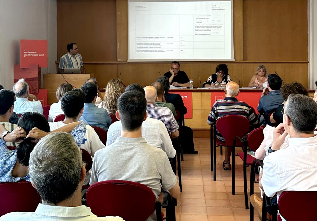 Sessió del Consell de la Federació Alt Penedès Garraf del PSC. Eix