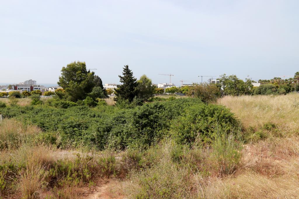 Sitges construirà 482 pisos de protecció oficial, una xifra 