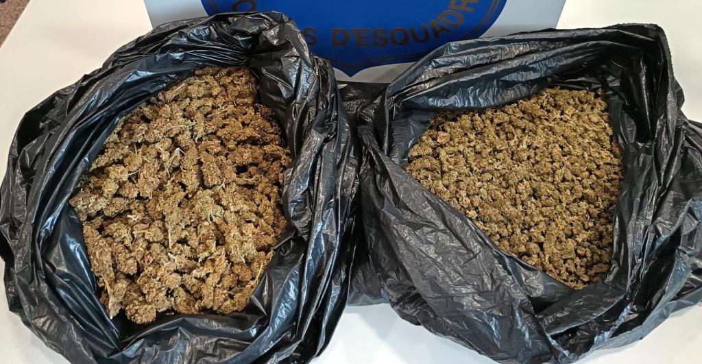 Tres detinguts al Baix Penedès per transportar més de dos quilos de marihuana. Mossos d'Esquadra