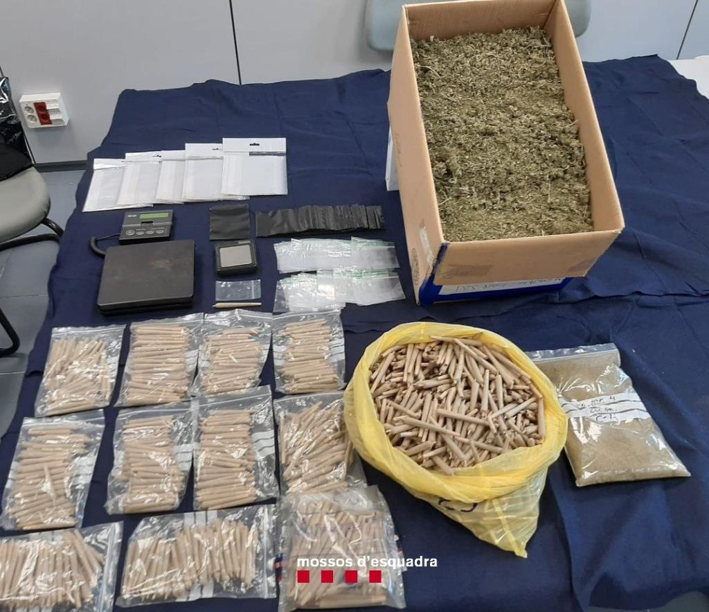 Tres detinguts per cultivar marihuana a l'interior d'una casa de Vallbona d'Anoia. ACN