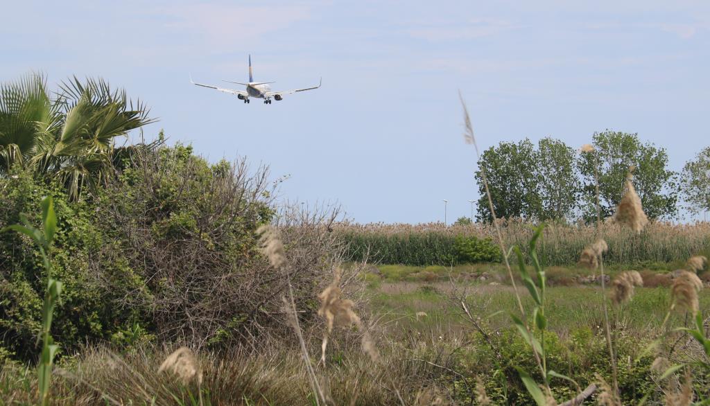 Un avió a punt d'aterrar a l'aeroport del Prat . ACN / Àlex Recolons