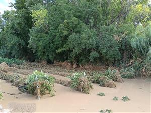 Un camp de vinyes de l'Alt Penedès inundat per la tempesta del dissabte 12 de juliol. Unió de Pagesos