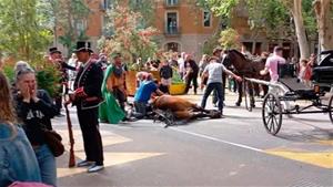 Un dels cavalls morts durant els últims Tres Tombs a Barcelona . PACMA