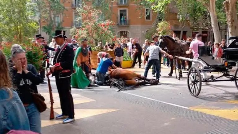 Un dels cavalls morts durant els últims Tres Tombs a Barcelona . PACMA