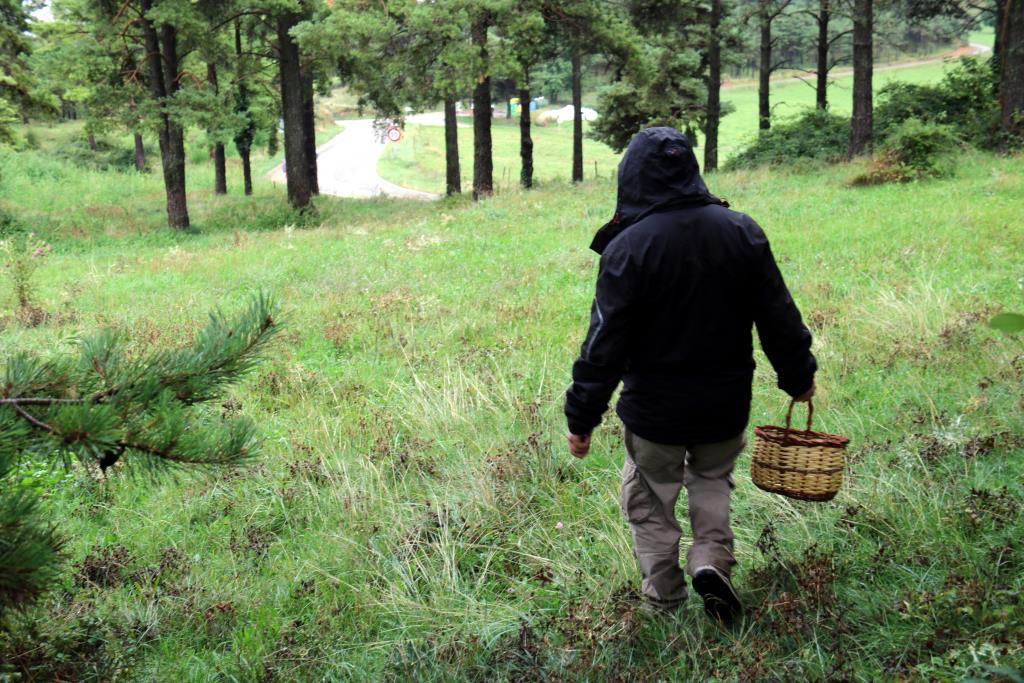 Un dels primers boletaires de la temporada a Capolat, al Berguedà. ACN / Nia Escolà