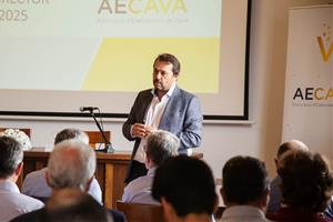 Un estudi revela que el cava es manté fort en un context de reptes i oportunitats