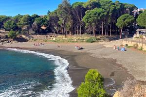 Un juny i juliol de rècord eleven la temperatura del mar a l'estiu 2ºC per sobre de la mitjana. ACN