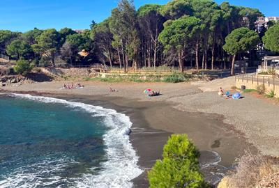 Un juny i juliol de rècord eleven la temperatura del mar a l'estiu 2ºC per sobre de la mitjana. ACN