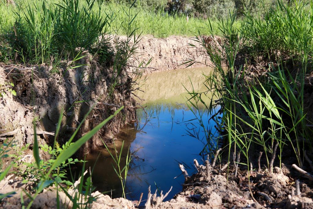 Una desena de basses noves i retirada massiva de canyissar: impulsen una 