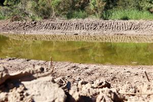 Una desena de basses noves i retirada massiva de canyissar: impulsen una 