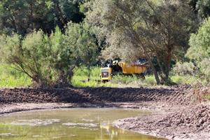 Una desena de basses noves i retirada massiva de canyissar: impulsen una 