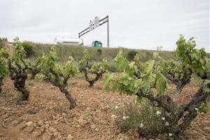 Unió de Pagesos reclama l’accés dels tractors a la C-15 durant la sega i la verema. Unió de Pagesos