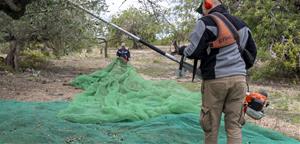 Unió de Pagesos reclama que es retiri la designació de zona vulnerable a Jorba i Sant Sadurní d’Anoia per excés de nitrats. Unió de Pagesos