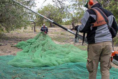 Unió de Pagesos reclama que es retiri la designació de zona vulnerable a Jorba i Sant Sadurní d’Anoia per excés de nitrats. Unió de Pagesos