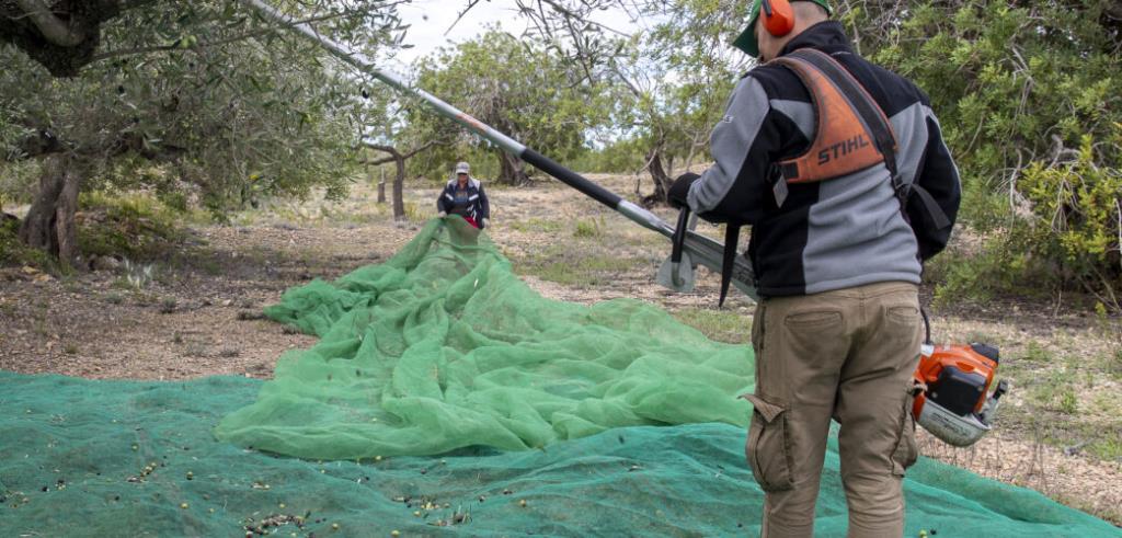 Unió de Pagesos reclama que es retiri la designació de zona vulnerable a Jorba i Sant Sadurní d’Anoia per excés de nitrats. Unió de Pagesos