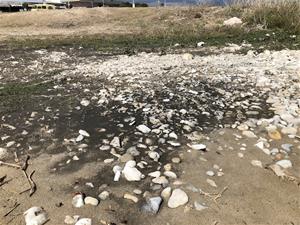 Vessaments de microgranulat de cautxú a la platja de la Mota