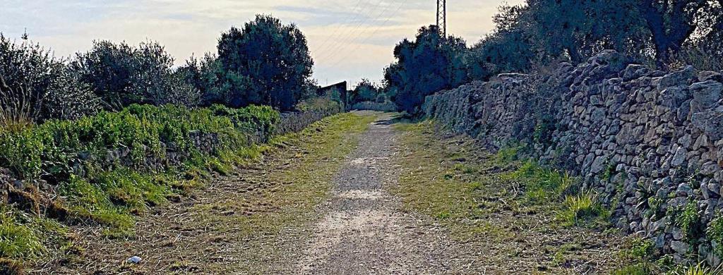 Via Augusta al seu pas pel Vendrell. FXV