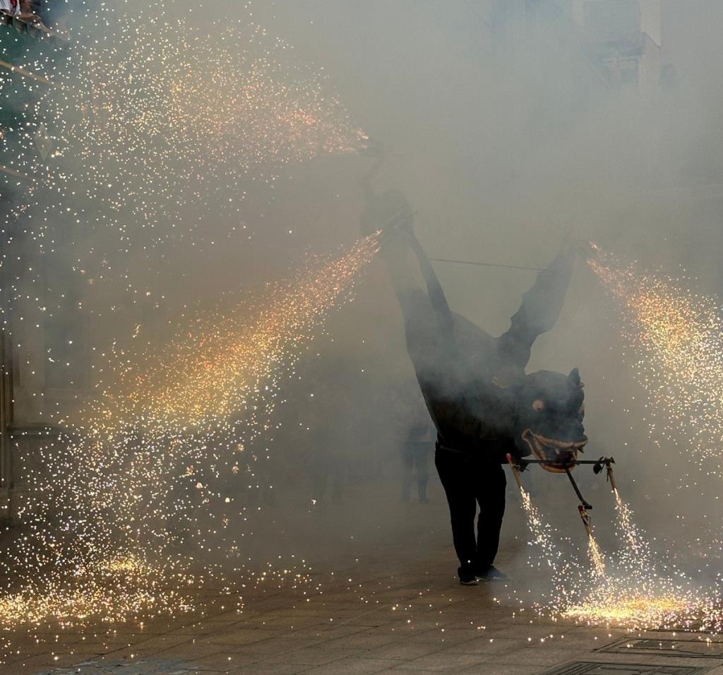 Vilafranca del Penedès commemorarà la declaració del Drac com a Bé Cultural d’Interès Nacional. Ajuntament de Vilafranca