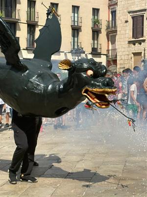 Vilafranca del Penedès commemorarà la declaració del Drac com a Bé Cultural d’Interès Nacional