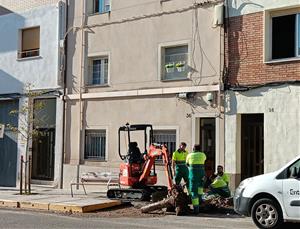 Vilafranca impulsa una nova campanya de reposició d’arbrat amb 102 arbres en tots els barris. Ajuntament de Vilafranca