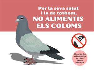 Vilafranca inicia una campanya per evitar alimentar els coloms i controlar la població urbana. Ajuntament de Vilafranca