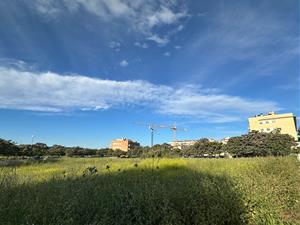 Vilafranca inscriu tres solars a la Reserva Pública de la Generalitat per construir 188 habitatges protegits