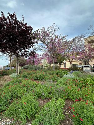 Vilafranca posa en marxa la fase preventiva per onada de calor amb actuacions a escoles, espais públics i refugis climàtics