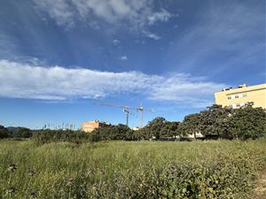 Vilafranca prepara la urbanització de l’Eix de la Via i possibles 80 habitatges a la Girada el 2026