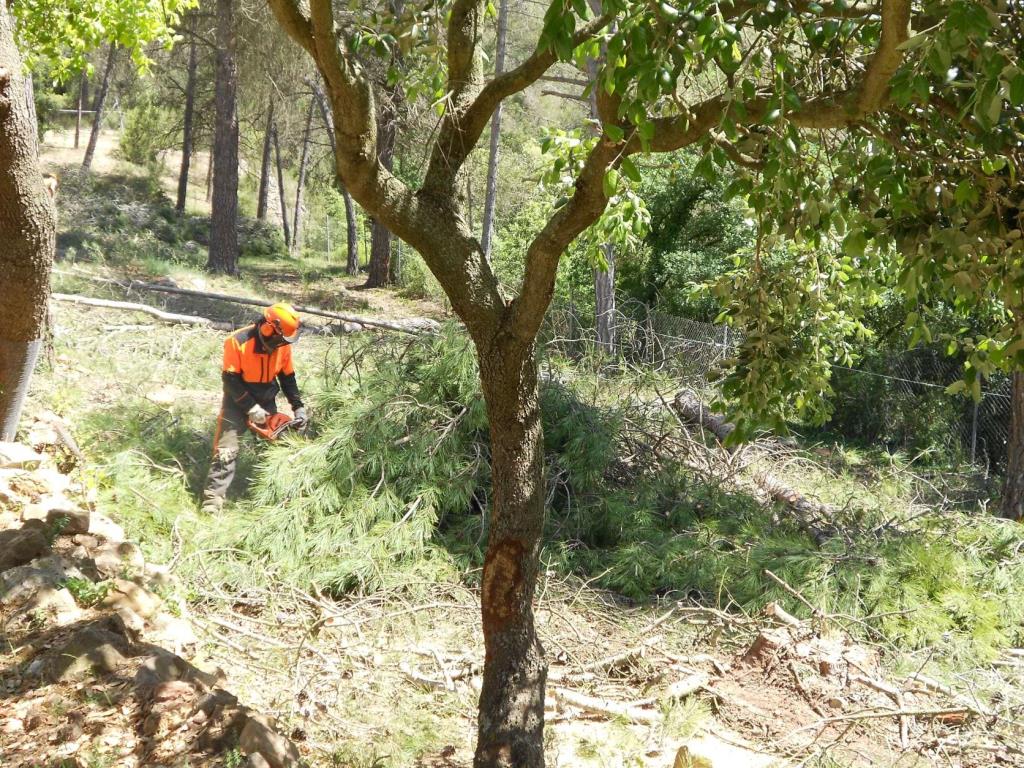 Vilanova i la Geltrú acull l’entrega dels Premis de Prevenció d’Incendis Forestals 2025 de la Diputació de Barcelona. Diputació de Barcelona