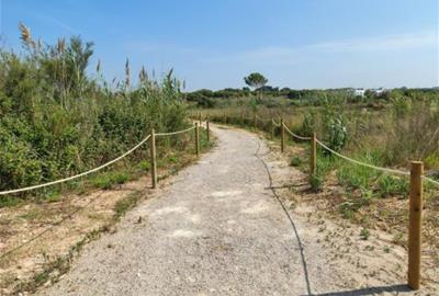 Vilanova i la Geltrú consolida els espais blaus com a model d’adaptació climàtica i de benestar. Ajuntament de Vilanova