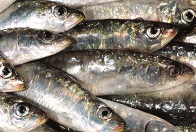 Vilanova i la Geltrú, epicentre de la cuina marinera durant el maig gastronòmic de Catalunya Regió Mundial de la Gastronomia . Generalitat de Cataluny