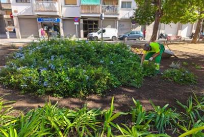 Vilanova i la Geltrú intensifica el manteniment i la modernització dels espais verds. Ajuntament de Vilanova