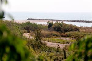 Vilanova reobre l'espai natural de la platja Llarga dècades després d'aturar-ne el desenvolupament urbanístic. ACN