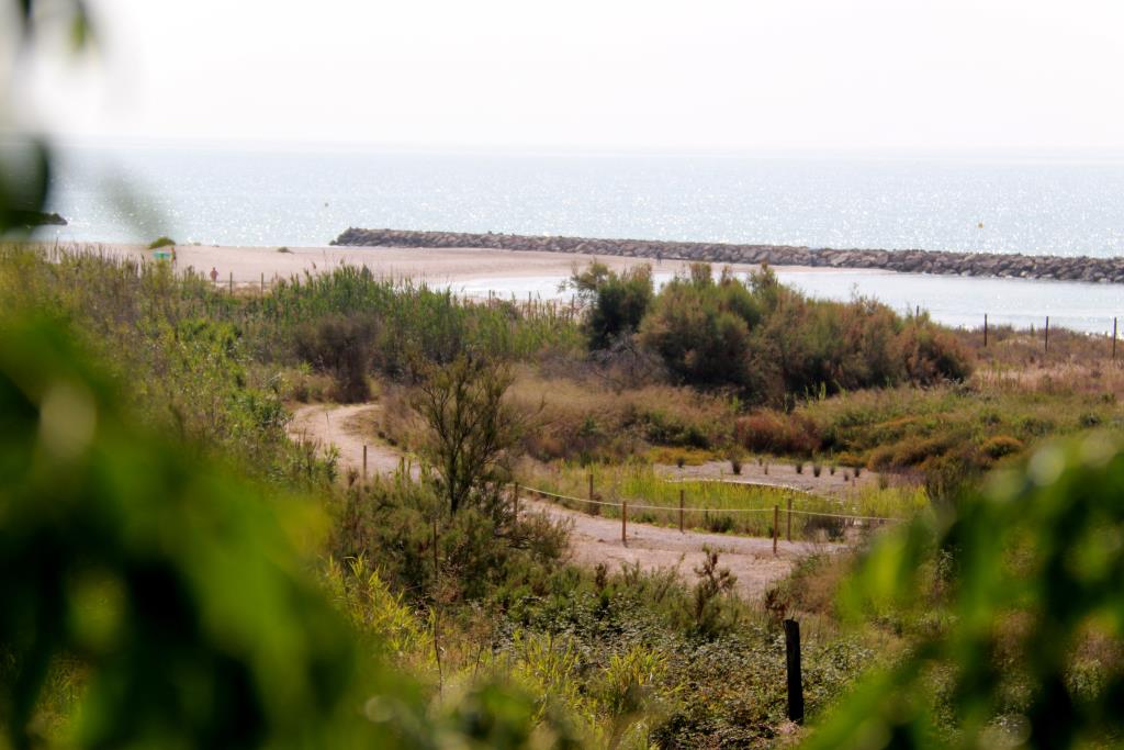 Vilanova reobre l'espai natural de la platja Llarga dècades després d'aturar-ne el desenvolupament urbanístic. ACN