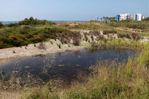 Vilanova reobre l'espai natural de la platja Llarga dècades després d'aturar-ne el desenvolupament urbanístic