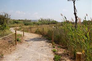 Vilanova reobre l'espai natural de la platja Llarga dècades després d'aturar-ne el desenvolupament urbanístic