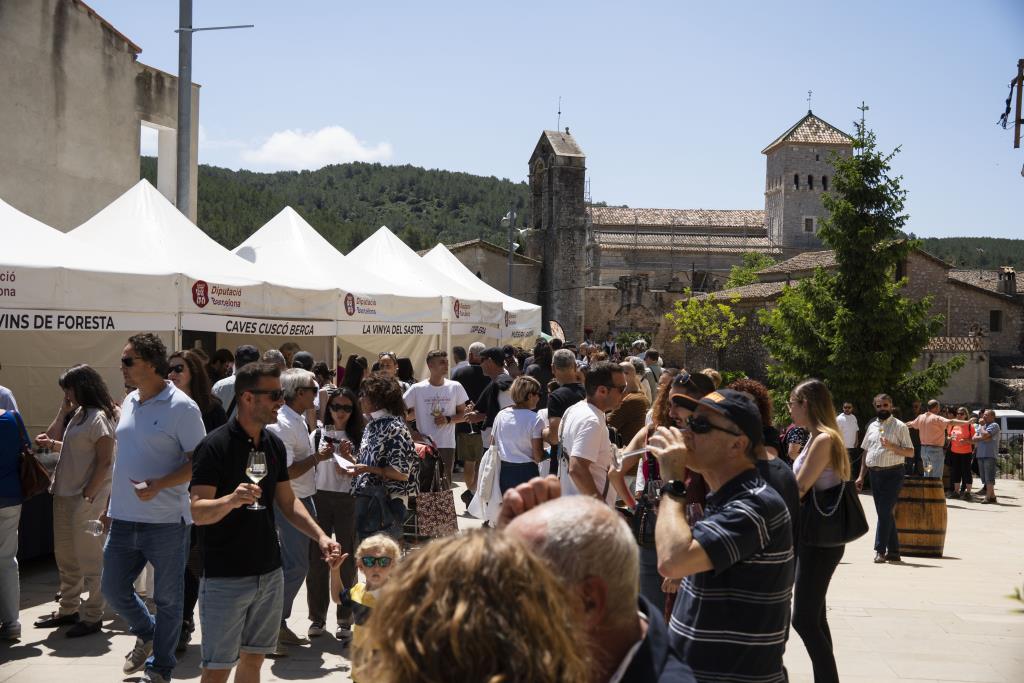 Vinum, la fira de vins del massís del Garraf. Ajt Olesa de Bonesvalls