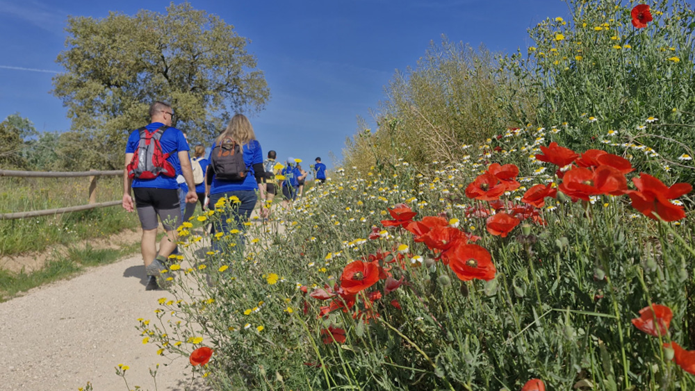 325 persones descobreixen la Via Blava Anoia en una passejada i bicicletada popular. Diputació de Barcelona